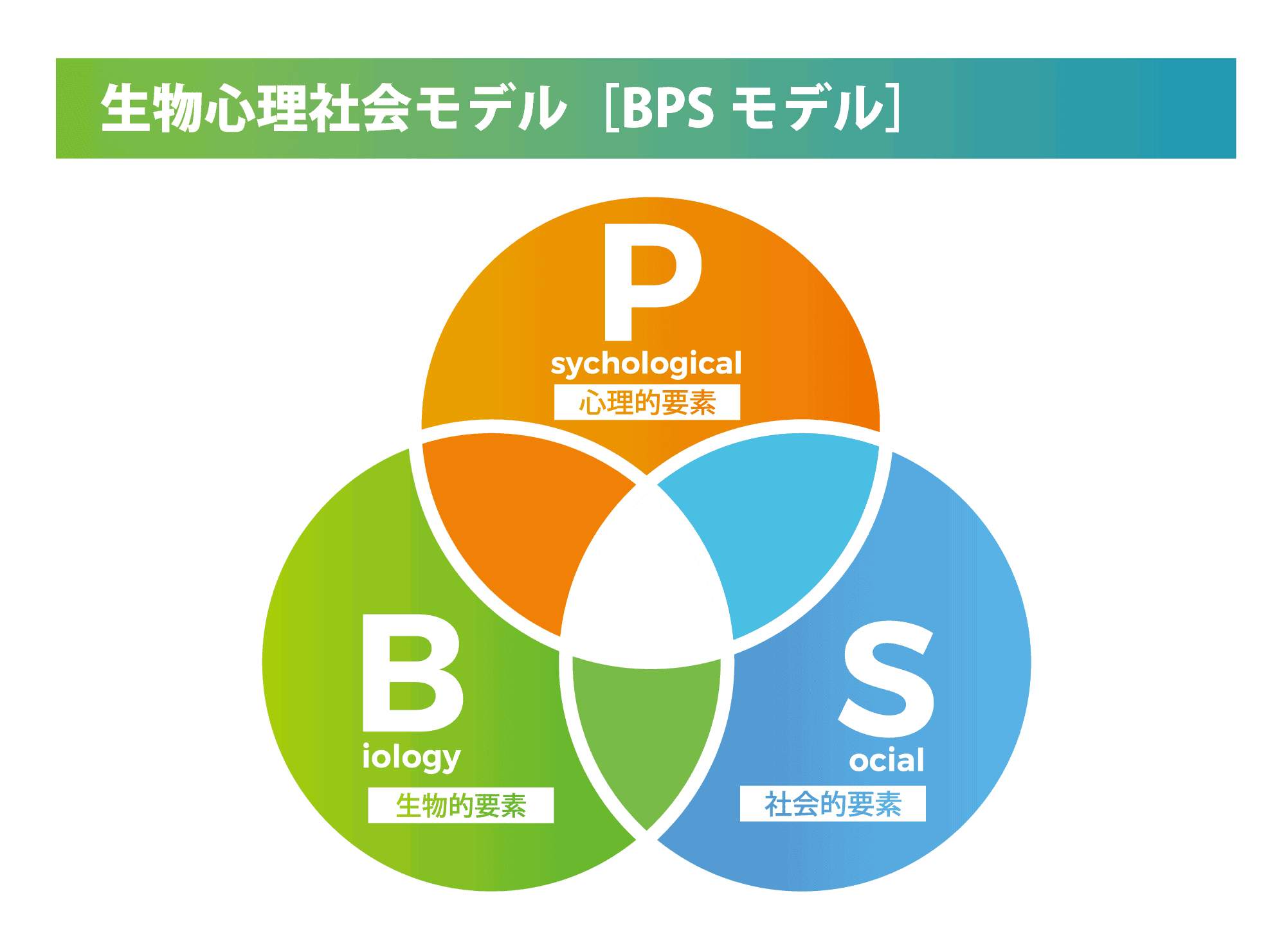 生物社会心理モデル（BPSモデル）の図